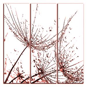 Obraz na plátne - Pampeliškové semienka s kvapkami vody - štvorec 3202KB (75x75 cm)