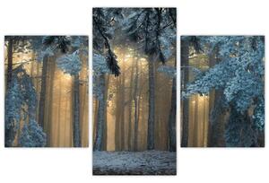 Obraz zasneženého lesa (90x60 cm)