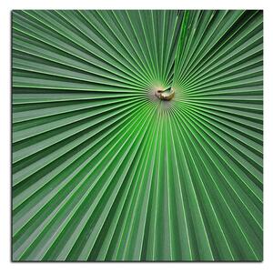 Obraz na plátne - Tropické listy - štvorec 3205A (50x50 cm)