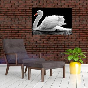 Obraz čiernobielej labute (90x60 cm)