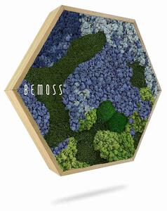 Machový Hexagon BEMOSS® ORTHO OMBRE Blue - Priemer 30 cm (v najširšom mieste šesťuholníka)
