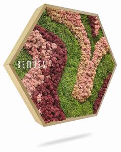 Machový Hexagon BEMOSS® ORTHO ARROSA - Priemer 30 cm (v najširšom mieste šesťuholníka)