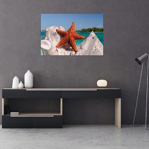 Obraz morskej hviezdice (90x60 cm)