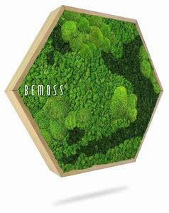 Machový Hexagon BEMOSS® ORTHO CORCON - Priemer 30 cm (v najširšom mieste šesťuholníka)
