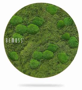 Machový obraz kruh FLATMOSS & BOLMOSS Aves - Priemer 40 cm