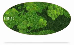 Machový obraz Elipsa BEMOSS® ORTHO CORCON - 50 x 100 cm