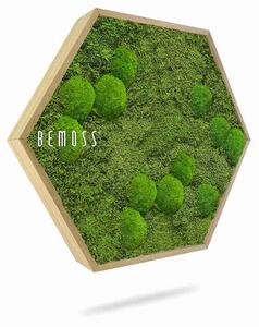 Machový Hexagon FLATMOSS & BOLMOSS Aves - Priemer 30 cm (v najširšom mieste šesťuholníka)