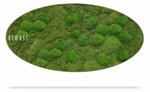 Machový obraz Elipsa FLATMOSS & BOLMOSS Aves - 50 x 100 cm