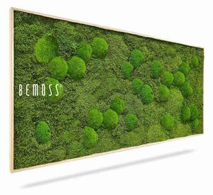Machový obraz FLATMOSS & BOLMOSS Aves - 40 x 40 cm