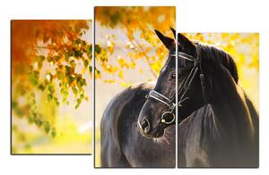 Obraz na plátne - Čierny kôň 1220C (150x100 cm)