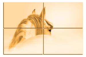 Obraz na plátne - Andalúzsky kôň v hmle 1219FE (90x60 cm)