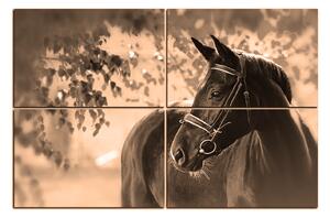 Obraz na plátne - Čierny kôň 1220FE (120x80 cm)