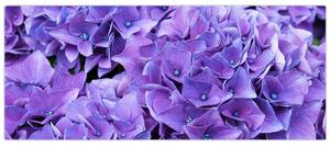 Obraz fialových kvetov (120x50 cm)