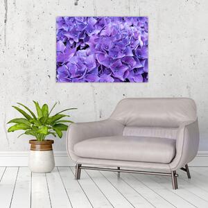 Obraz fialových kvetov (70x50 cm)