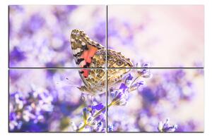 Obraz na plátne - Motýľ na levandule 1221E (90x60 cm)