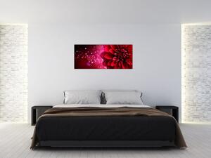 Obraz červené kvety (120x50 cm)