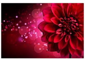 Obraz červené kvety (90x60 cm)