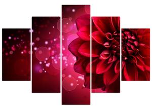 Obraz červené kvety (150x105 cm)