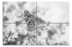 Obraz na plátne - Motýľ na levandule 1221QE (90x60 cm)