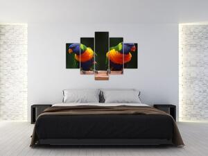 Obraz papagájov (150x105 cm)