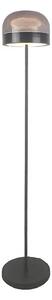 Rabalux 74038 - LED Stm. stojacia lampa XELIRA LED/20W/230V 3000/4000/6000K