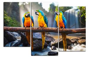 Obraz na plátne - Modro žlté Macaw 1232D (150x100 cm)