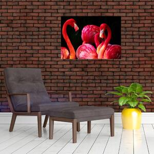 Obraz červených plameniakov (70x50 cm)
