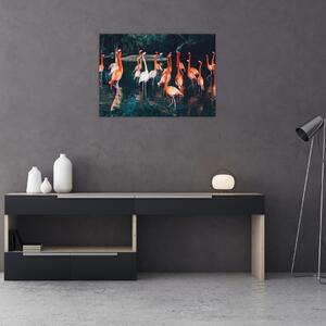Obraz stádo plameniakov (70x50 cm)
