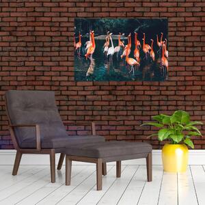 Obraz stádo plameniakov (90x60 cm)