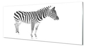 Sklenený obraz maľované zebra 120x60 cm 2 Prívesky