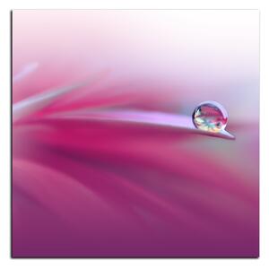 Obraz na plátne - Krásne kvetinové pozadie - štvorec 3215A (50x50 cm)