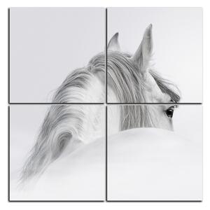 Obraz na plátne - Andalúzsky kôň v hmle - štvorec 3219D (60x60 cm)