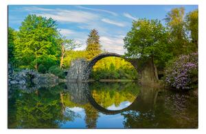 Obraz na plátne - Most v parku v Kromlau 1246A (100x70 cm)