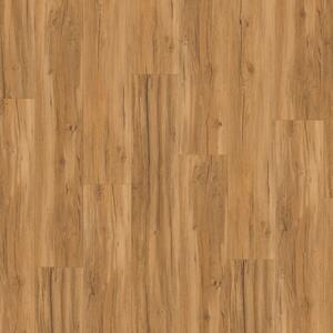 Parador SPC Basic 5.3 Dub Memory prírodný 1743003 5,3 mm 23/31 4V Kartáčovaná štruktúra 1-lamela