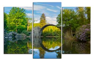 Obraz na plátne - Most v parku v Kromlau 1246C (120x80 cm)