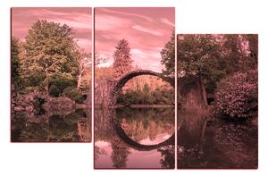 Obraz na plátne - Most v parku v Kromlau 1246VD (120x80 cm)