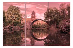 Obraz na plátne - Most v parku v Kromlau 1246VB (150x100 cm)