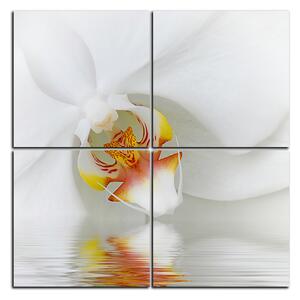 Obraz na plátne - Detailný záber bielej orchidey - štvorec 3223E (60x60 cm)