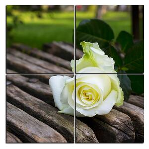 Obraz na plátne - Biela ruža na lavici - štvorec 3224E (60x60 cm)