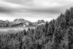 Fototapeta čiernobiele zamrznuté hory