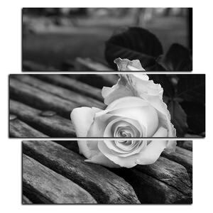 Obraz na plátne - Biela ruža na lavici - štvorec 3224QD (75x75 cm)
