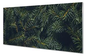 Nástenný panel  Vianočný strom vetvičky 100x50 cm