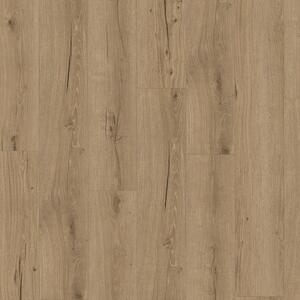 Parador SPC Trendtime 8 Dub Cambridge natural nat. texture widepl V-groove 1748848 1522x225x6 mm