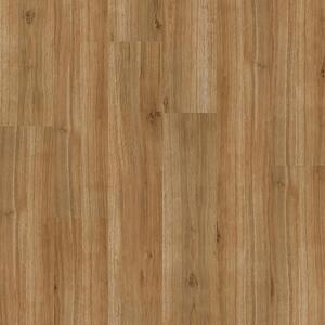 SolidStep FUSION Dub Balance ST207 2mm 33/42 4V 1-lamela 1200x180x2/0,55 mm