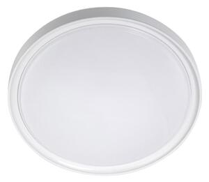 LED Stropné svietidlo LED/18W/230V pr. 30 cm biela