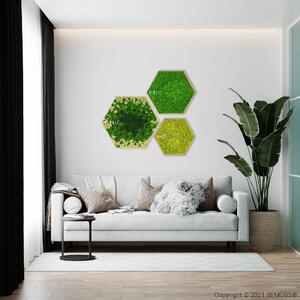 Machový Hexagon BEMOSS® ORTHO SPLASH Green