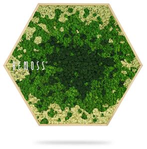 Machový Hexagon BEMOSS® ORTHO SPLASH Green