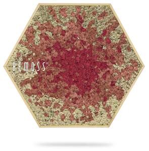 Machový Hexagon BEMOSS® ORTHO SPLASH Pink