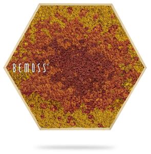 Machový Hexagon BEMOSS® ORTHO SPLASH Sienna