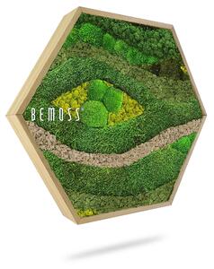 Machový Hexagon BEMOSS® ORTHO TOCÓN Lime